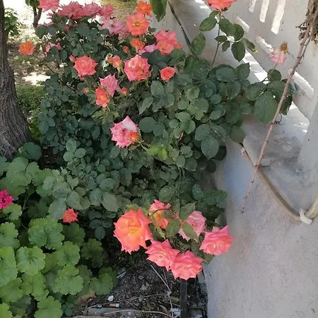 Appartement Bahceli Deniz Kenarinda Daire Aliaga